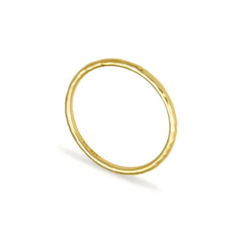 Larissa Band Ring in 18k Gold Vermeil